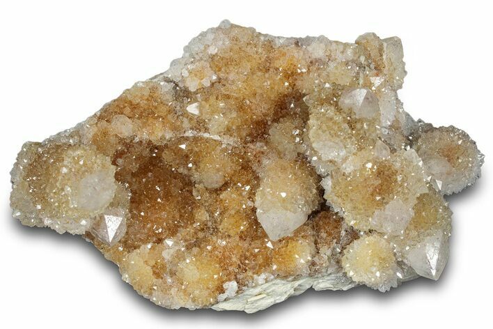 Sparkling Cactus Quartz Crystal Cluster - South Africa #303474